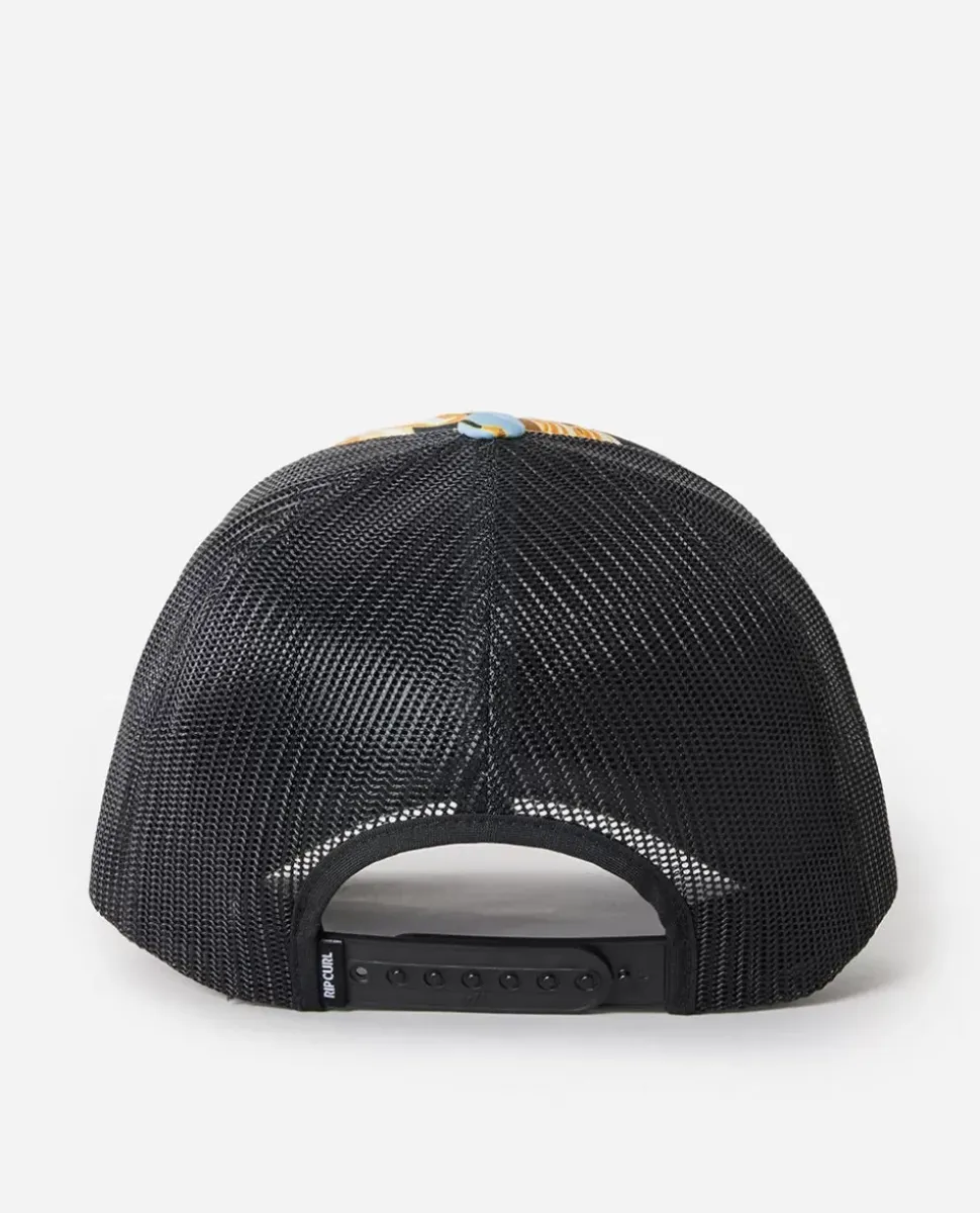 Seguir O Sun Trucker