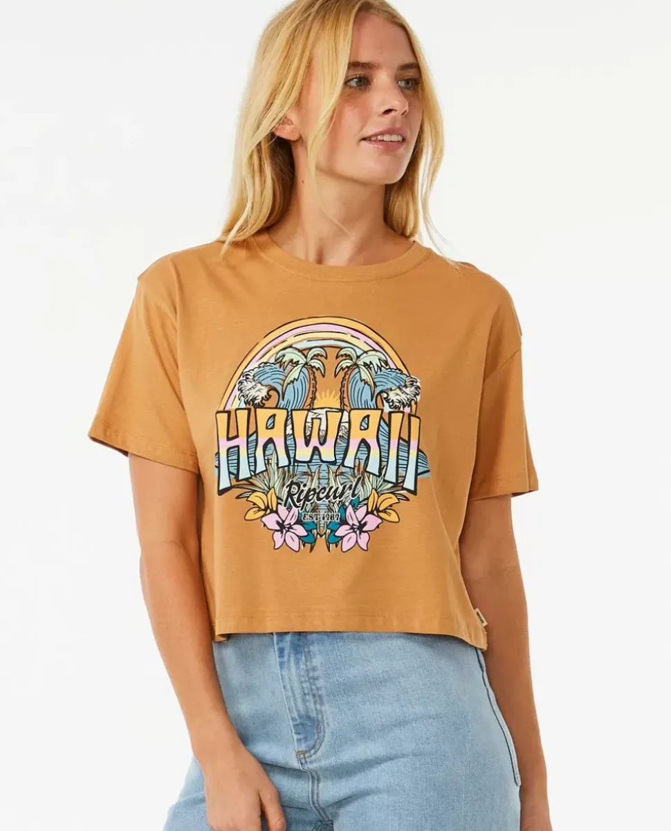 T-shirt De Manga Curta Block Party Crop